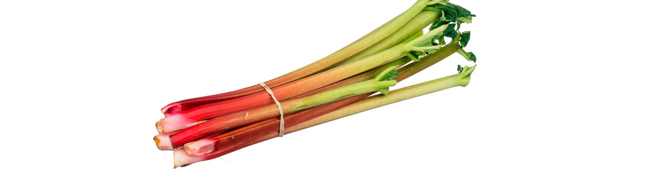 rhubarb florida