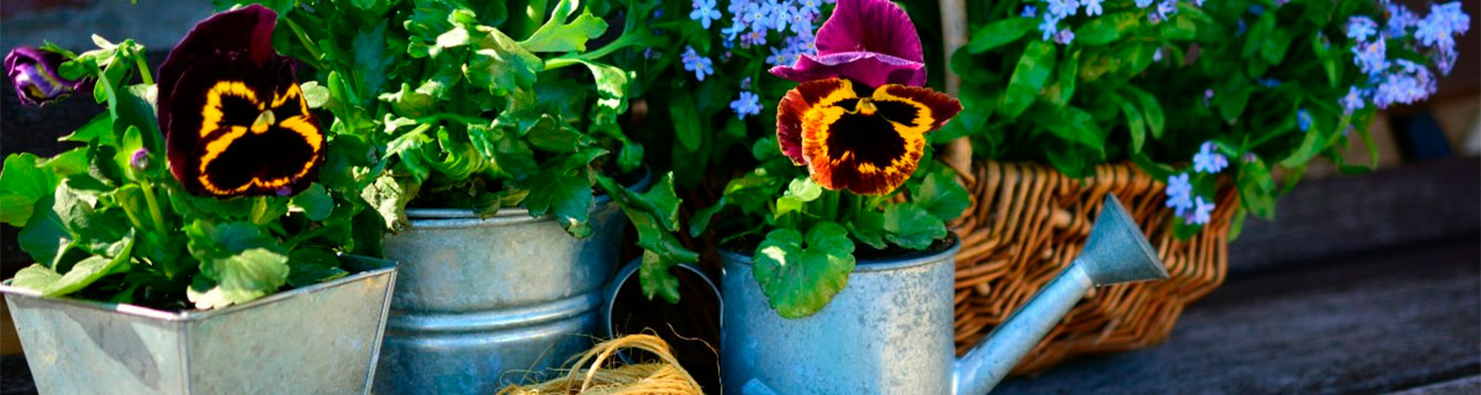 Monthly Gardening Checklist - UF/IFAS Extension Nassau County