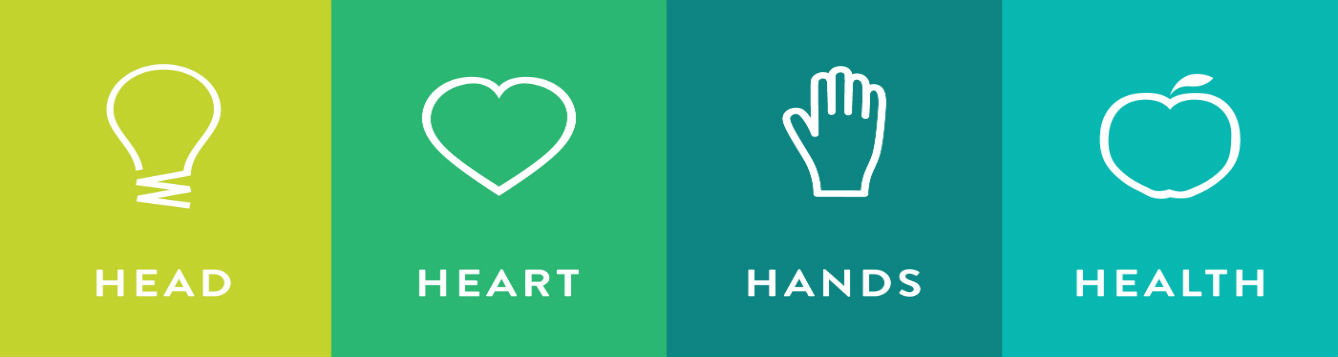 head, heart, hands, health banner