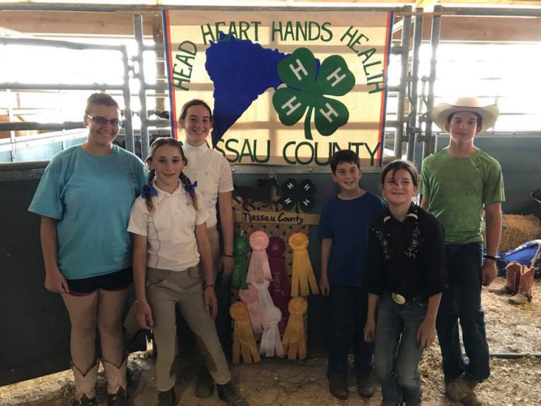 Making Sense of Horse Show Classes UF/IFAS Extension Nassau County