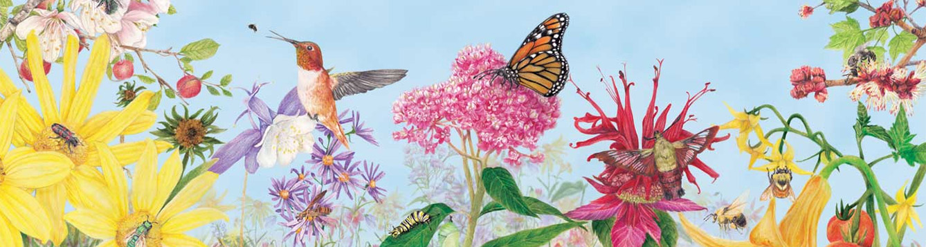 Native Pollinators - Landscape Matters 2019 - UF/IFAS Extension Nassau ...