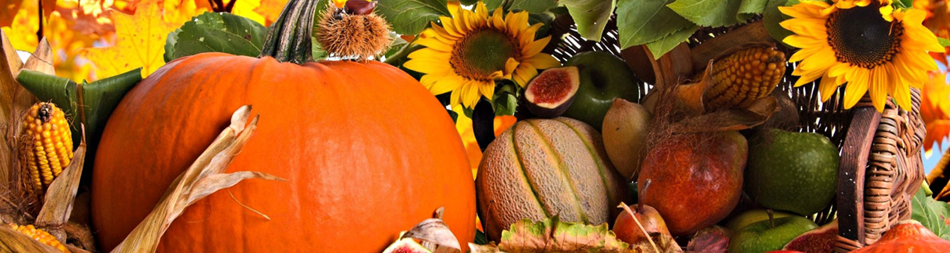 Pumpkins Gourds & Sunflowers - Landscape Matters 2019 - UF/IFAS ...