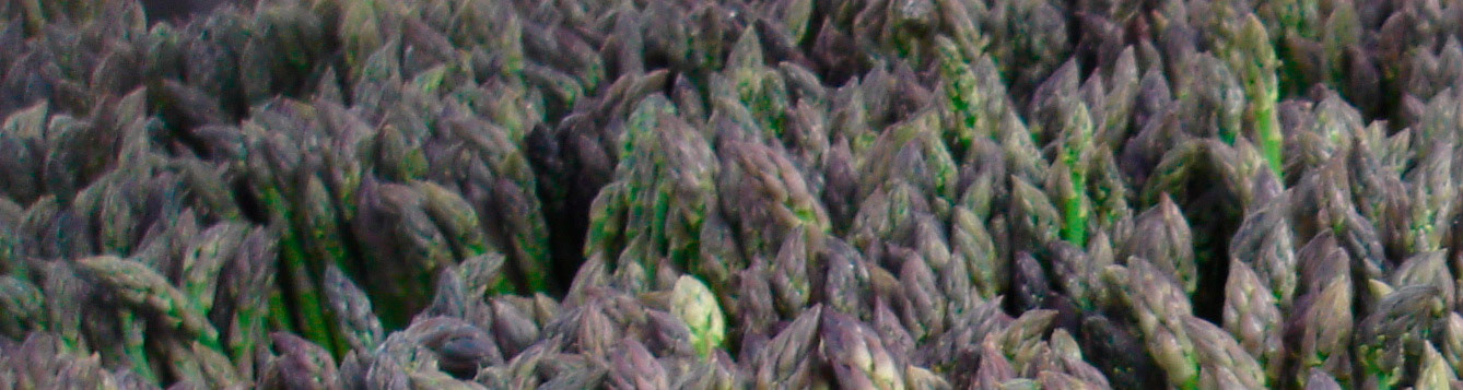 asparagus