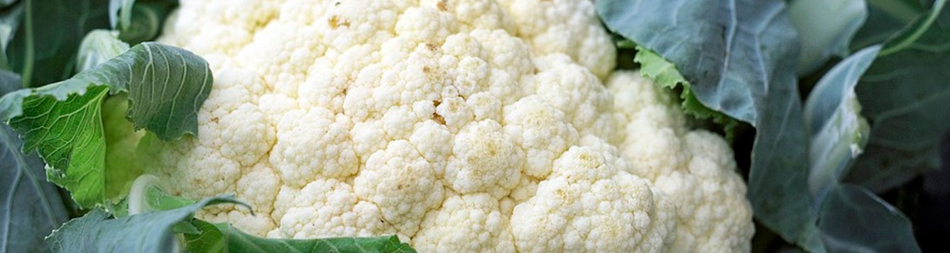 cauliflower