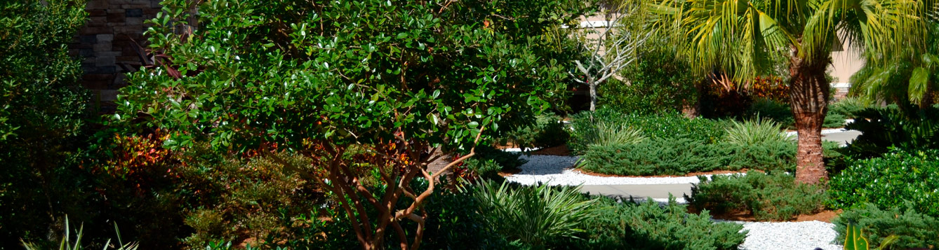 Florida friendly landscaping