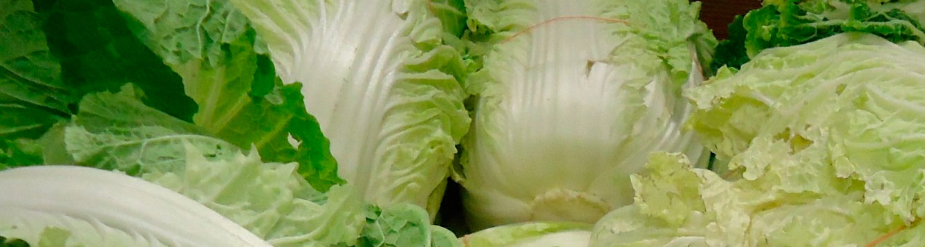 NAPA cabbage at Asian supermarket