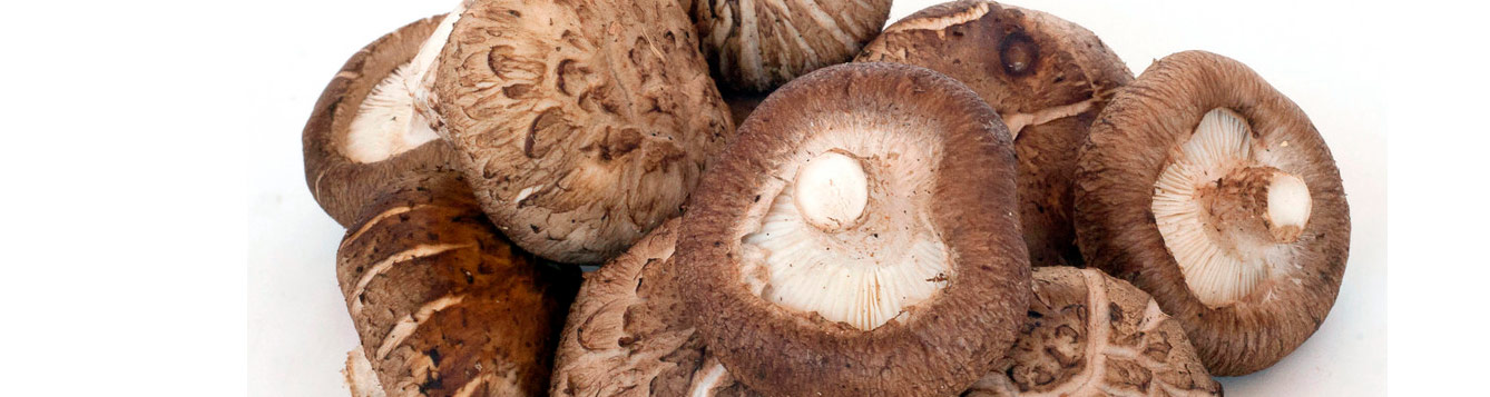 shitake mushrooms