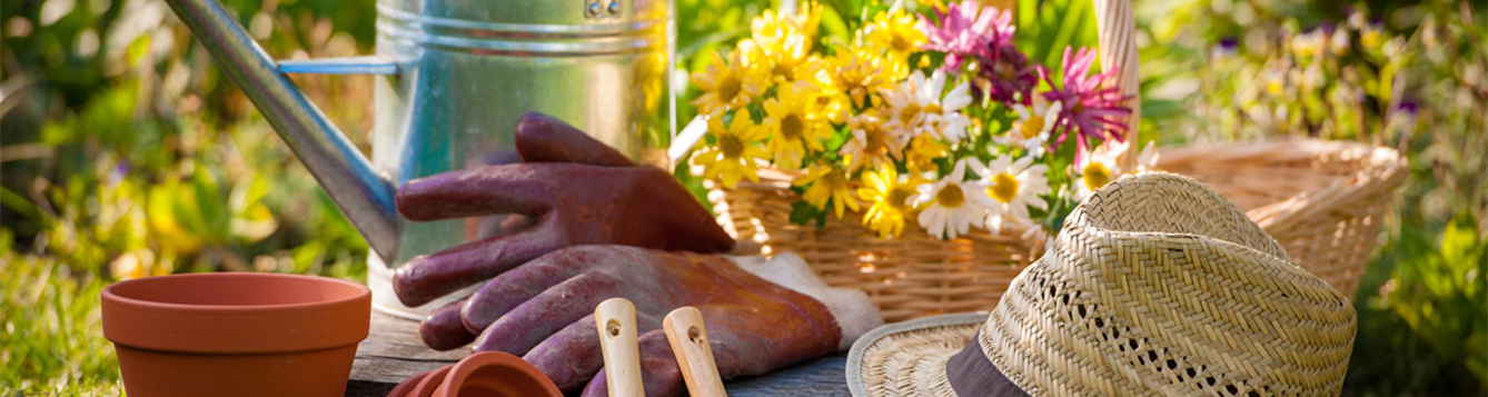 Crash Course in Florida Gardening