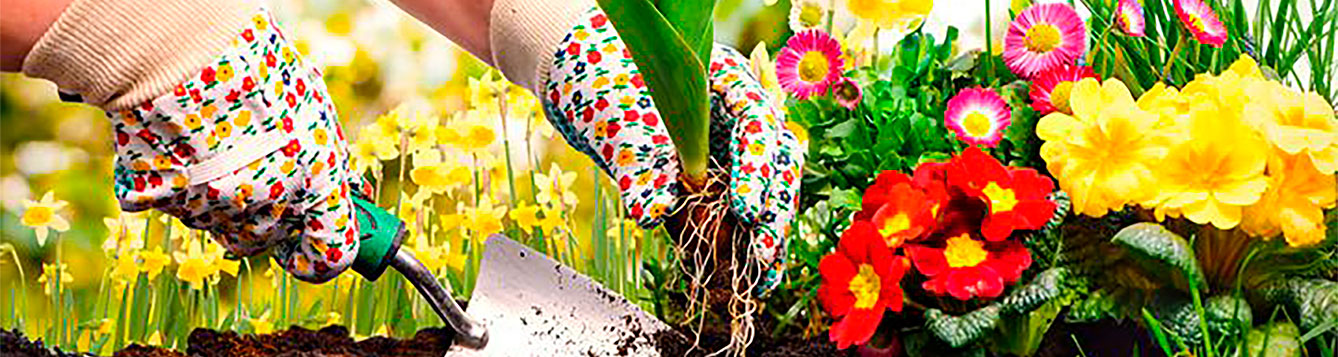 Spring Plant Sale Banner 2018