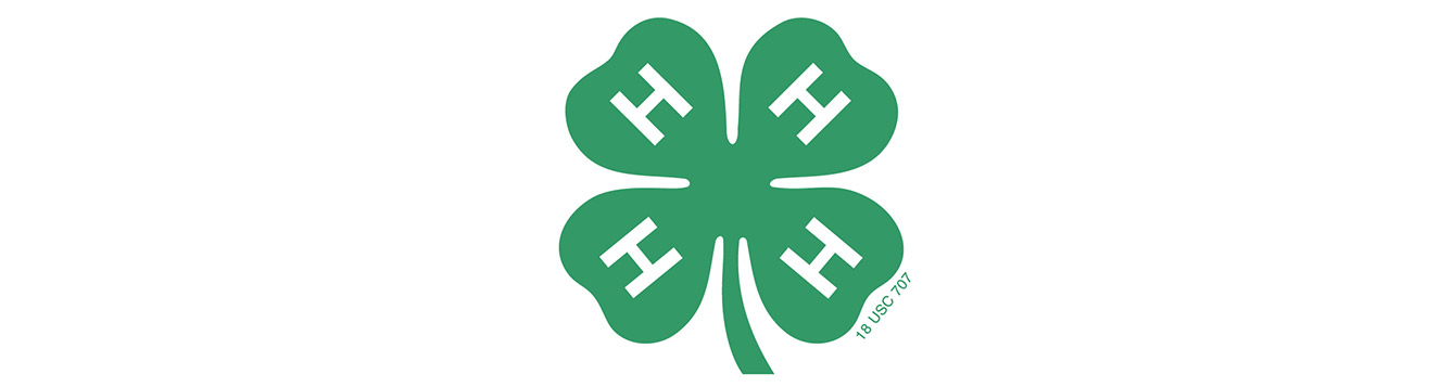 4-H Banner