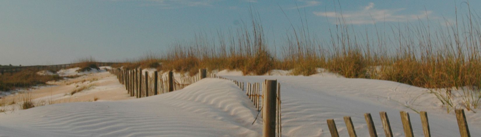 Anastasia State Park, St. Augustine, beach, dunes, fence, protection, grass. UF/IFAS Photo: Josh Wickham.