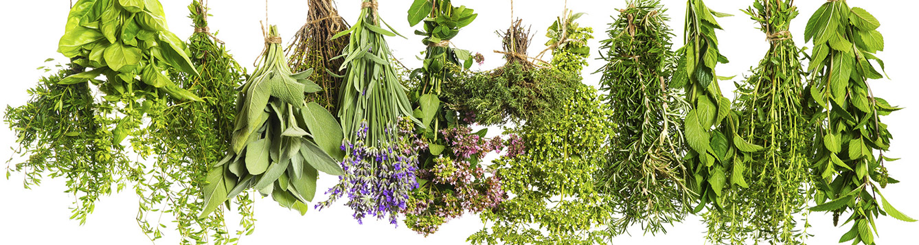 June Gardening Checklist