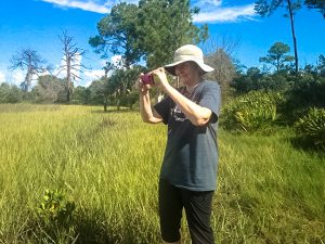 Cedar Key Bird Rescue volunteer Anne Lindgren photographs a bird release event