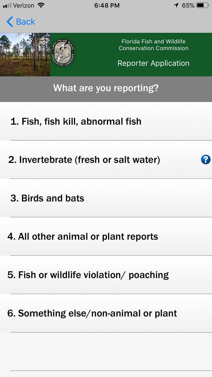 Screenshot of Reporter App 1
