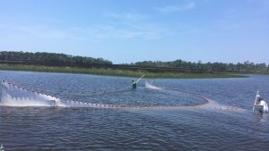 Tyler pulling a seine net.