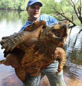 Turtles, snakes and a crocodile pond? Raiders safety Tre'von