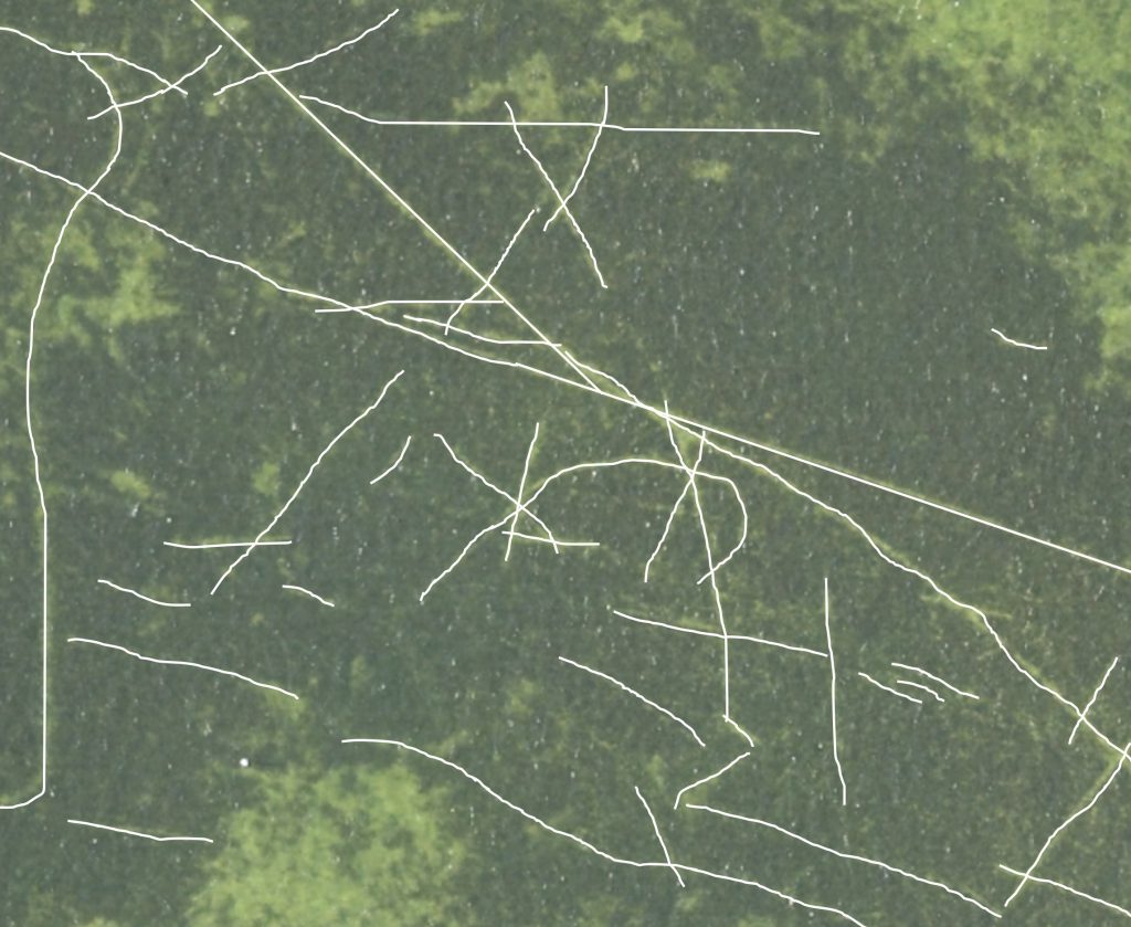 scars in seagrass traced on an aerial image
