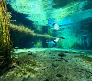 Snorkeling in Rainbow Springs and Ocklawaha
