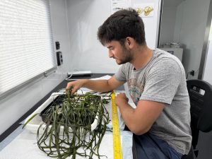 A photo of me making grass trays in the NCBS mobile lab.