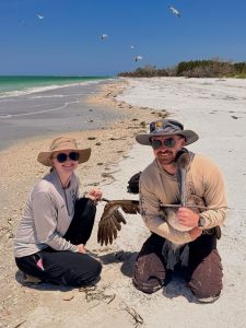 Intern Julia and Alex Arrow taking a fishing hook out of a pelican wing. 