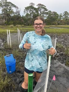 Data collection in the marsh for Miranda May‘s experiment investigating how predator-prey interactions between marsh periwinkle snails and white-tipped mud crabs impact smooth cordgrass and black mangroves.