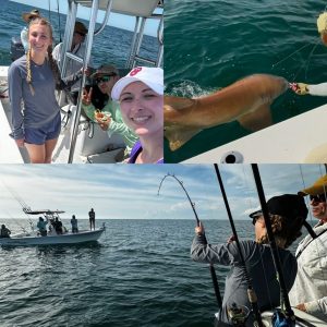 Shark capture and release!! Photo Credit: Emily Ducker.