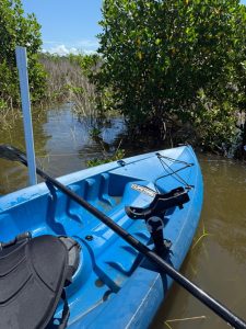 A photo of a kayak in a marsh. 