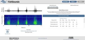 Screenshot of FishSounds.net website