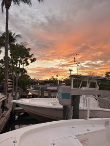 A sunset in a marina with boats and trees in the background. 