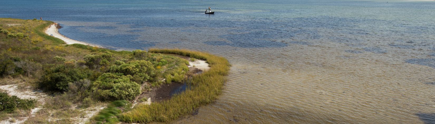Big Lagoon State Park near Pensacola, Florida, photographed for the Naturally Escarosa phone application.