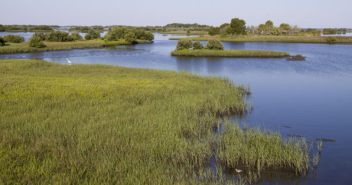 May is American Wetlands Month - UF/IFAS News