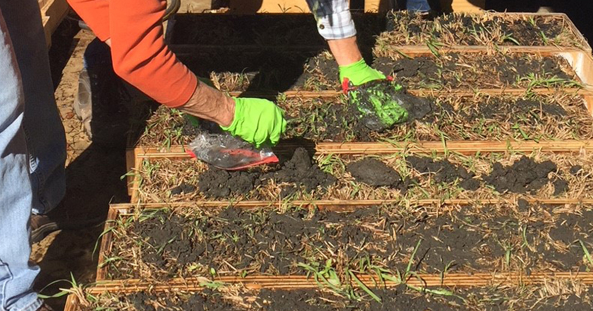 Harmful effects of fertilizers on humans picture