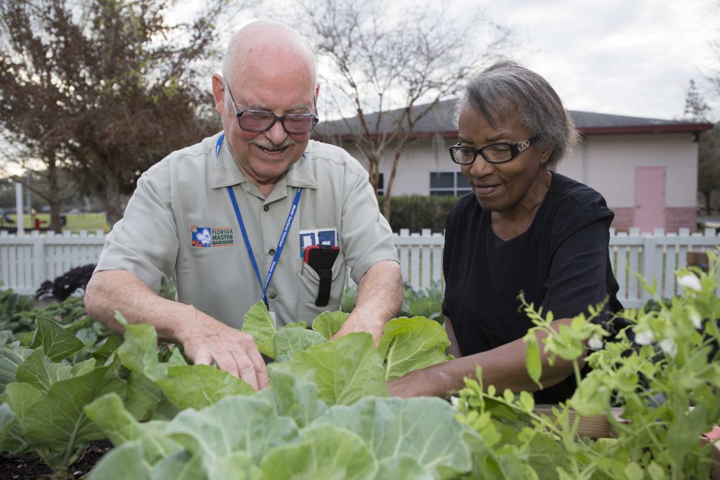 UF/IFAS Master Gardener Volunteers celebrate 40 years of service to ...