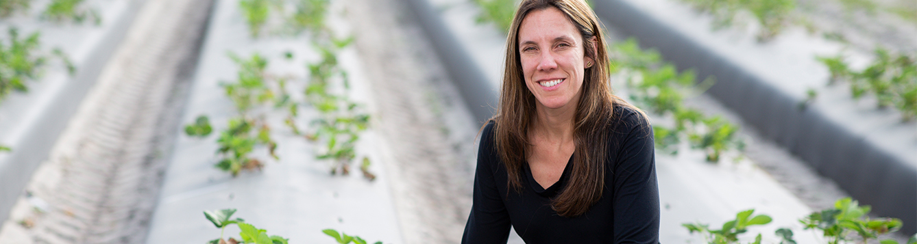 UF/IFAS scientist named fellow of American Phytopathological Society - News