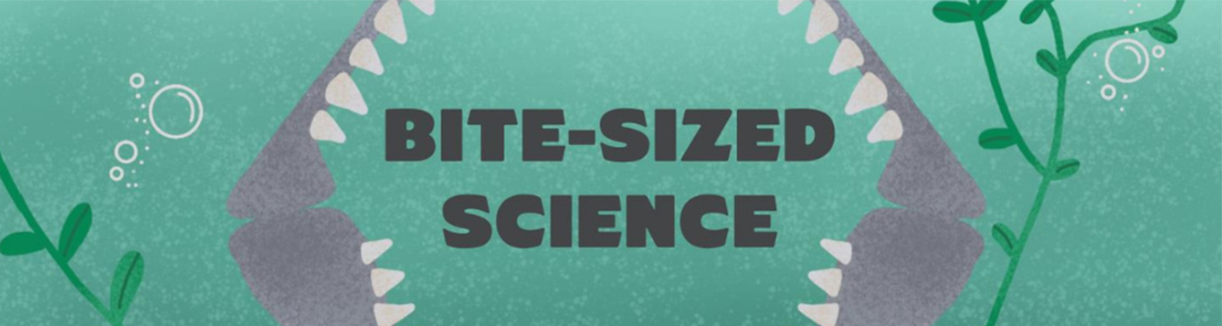 Season 2 Of Bite-sized Science And Seafood At Your Fingertips Webinars ...