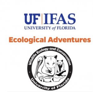 Logo for WEC podcast