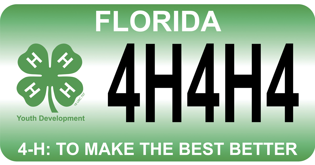 New specialty license plate supports Florida 4H News