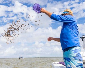 Clams-being-distributed-for-a-clam-buyback-and-shellfish-restoration-project-in-the-Indian-River-Lagoon