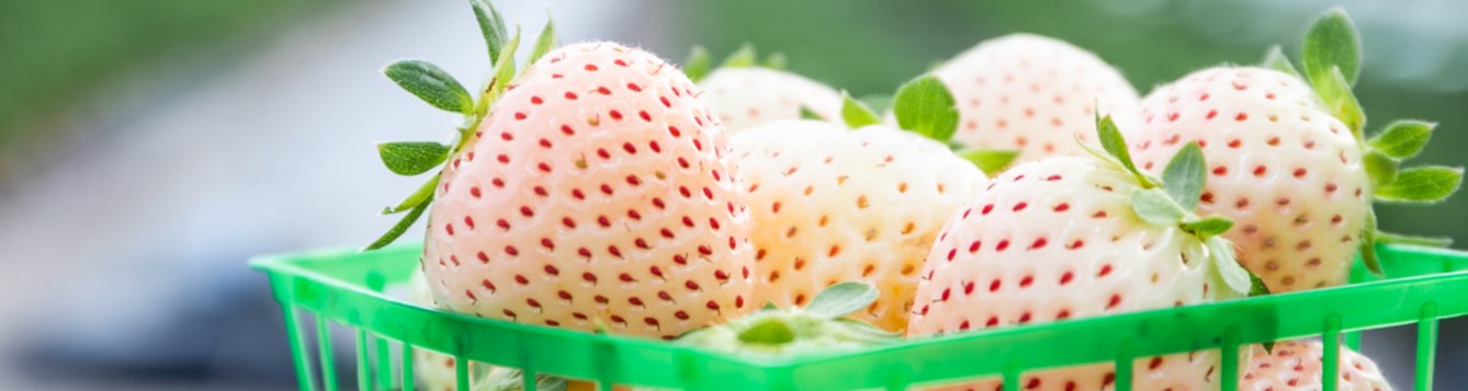 white strawberries in green basket