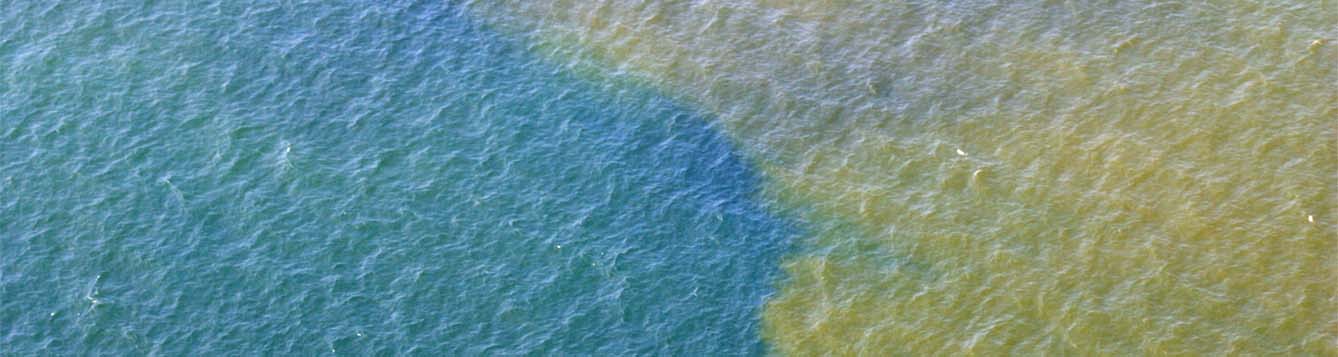 image - FWC courtesy drone view of Red Tide along Florida's coast