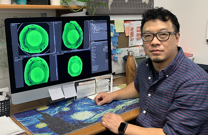 Liu Tie looking at X-ray CT imaging of an avocado