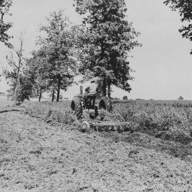 ReTracing a Century of Research at the UF/IFAS NFRECQuincy News