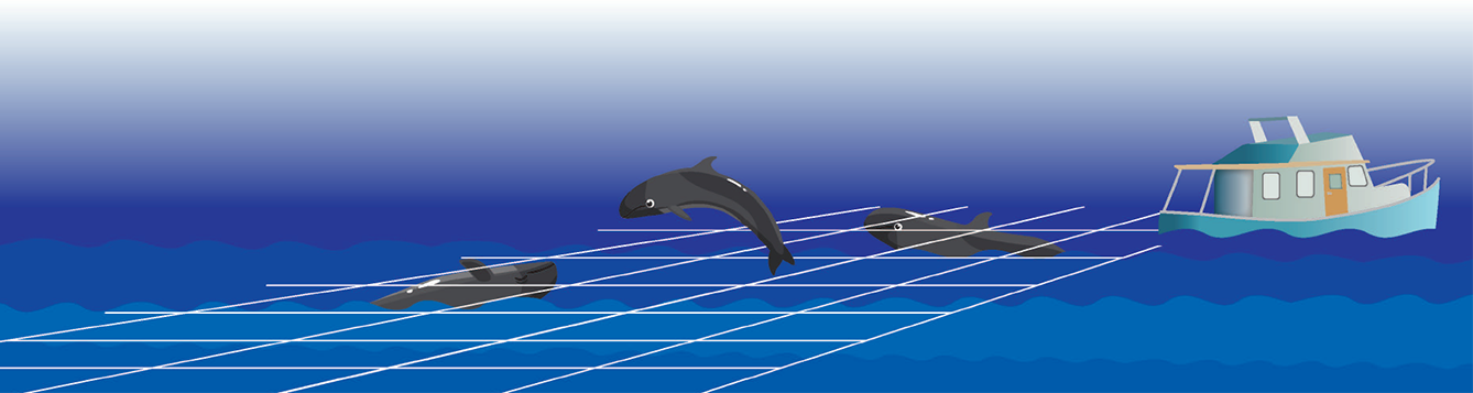 cartoons of whales jump in and out of a cartoon grid with a commercial fishing boat nearby to simulate the UF/IFAS developed algorithm tracking their movements