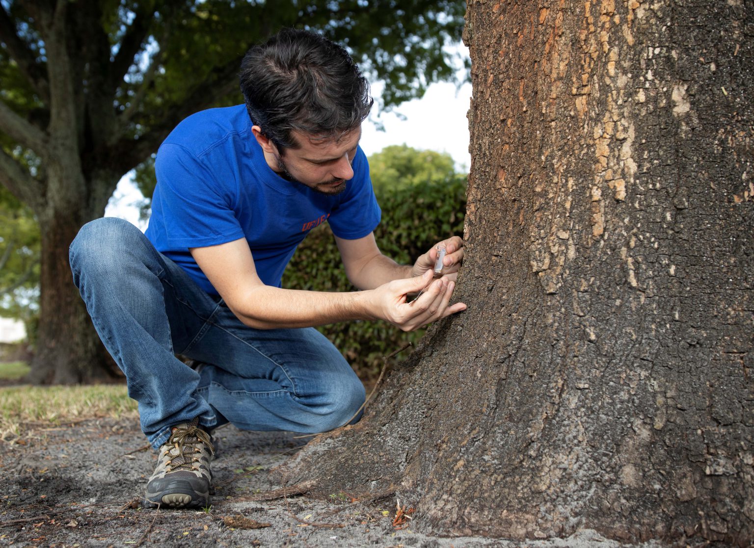 what-is-your-termite-risk-in-florida-uf-ifas-scientists-explain-it