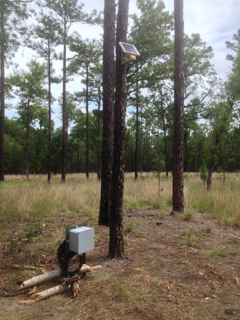 Soil moisture sensor in a forested area