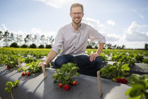The Strawberry Disease You Can't Afford to Neglect : Syngenta – Know More,  Grow More