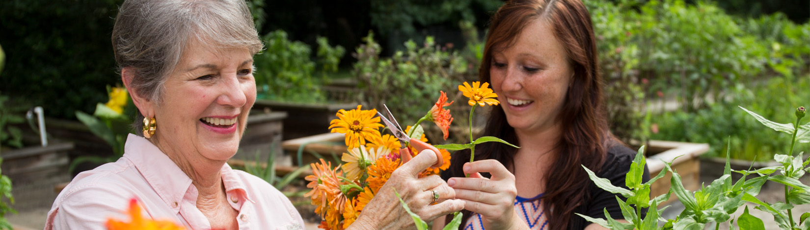 Gardening Can Cultivate Better Mental Health - News