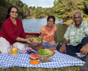 image - family having a picnic 