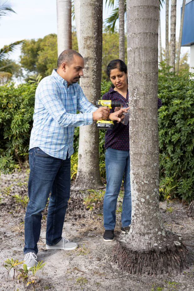 Científico de UF/IFAS desarrolla un método de detección para una
