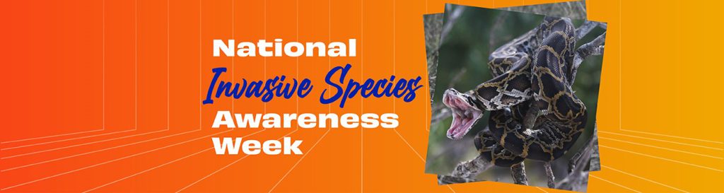 image - blog banner - National Invasive Species Awareness Week